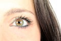 Eye Royalty Free Stock Photo