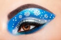 Eye girl makeover snowflakes Royalty Free Stock Photo