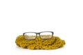 Eye glasses Royalty Free Stock Photo