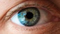 Eye green blue looks light Royalty Free Stock Photo