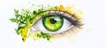 Eye with Green Forest Reflection A Stunning Visual for World Sight Day and Environmental Awareness Royalty Free Stock Photo