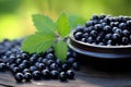Eye Health Boost. Blueberries and Bioactive Supplement Pills for Clear Vision on Lush Green Background