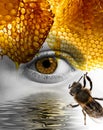 An eye and honey comb texture in it and bees Royalty Free Stock Photo