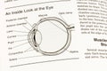 Eye human anatomy pupil cornea macula optic nerve