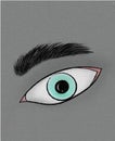 Eye icon sign flat. illustration Royalty Free Stock Photo