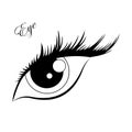 Eye icon - vector eye icon vector symbol look vision Xsee Xgraphic Royalty Free Stock Photo