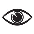 Eye icon, vector symbol isolated. Royalty Free Stock Photo