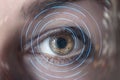 Eye identification using modern technologies Royalty Free Stock Photo