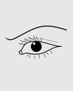 Eye illustration,eyelash