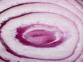 An eye of an inside onion