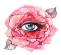 Eye inside rose Royalty Free Stock Photo
