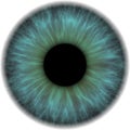 Eye iris