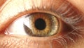 Eye iris contracting