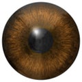 Eye iris generated hires texture Royalty Free Stock Photo