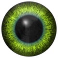 Eye iris generated hires texture