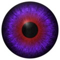 Eye iris generated hires texture