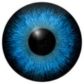 Eye iris generated hires texture Royalty Free Stock Photo