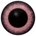 Eye iris generated