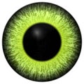 Eye iris generated