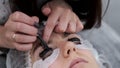 The eye lash master is dying the eye lashes