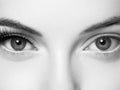 Eye lashes, lash extension woman lashes close up macro monochrome Royalty Free Stock Photo