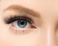 Eye lashes woman beauty face macro Royalty Free Stock Photo