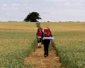 Eye-level shot of hikers with heavy backpacks walking through a path in a field