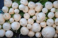 Eye-level view of bunches of freshly harvested white turnips