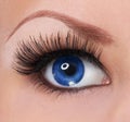 Eye with long eyelashes. beautiful blue eye