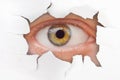 Eye looking through hole on paper Royalty Free Stock Photo