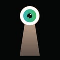 Eye looking through keyhole Royalty Free Stock Photo