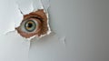 An eye looking through a torn hole in paper or wall. Royalty Free Stock Photo
