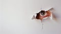 An eye looking through a torn hole in paper or wall. Royalty Free Stock Photo