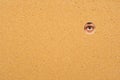 Eye looking through a wall Royalty Free Stock Photo