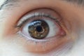 Eye Macro, brown pupil Royalty Free Stock Photo