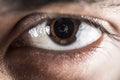 Eye on a macro lens Royalty Free Stock Photo