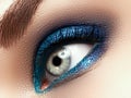 Eye Makeup. Beautiful Eyes Glitter Make-up. Holiday Makeup detail. Royalty Free Stock Photo