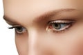 Eye makeup. Beautiful eyes make-up. Holiday makeup detail. Long