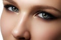 Eye makeup. Beautiful eyes make-up. Holiday makeup detail. Long Royalty Free Stock Photo