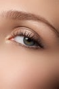 Eye makeup. Beautiful eyes make-up. Holiday makeup detail. Long Royalty Free Stock Photo