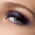 Eye makeup. Beautiful eyes make-up. Holiday makeup detail. Long