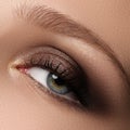 Eye makeup. Beautiful eyes make-up. Holiday makeup detail. Long Royalty Free Stock Photo