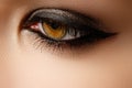 Eye makeup. Beautiful eyes retro style make-up. Holiday makeup d Royalty Free Stock Photo