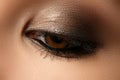 Eye makeup. Beautiful eyes retro style make-up. Holiday makeup d Royalty Free Stock Photo