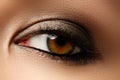 Eye makeup. Beautiful eyes retro style make-up. Holiday makeup d Royalty Free Stock Photo