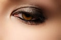 Eye makeup. Beautiful eyes retro style make-up. Holiday makeup d Royalty Free Stock Photo