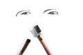 Eye makeup bursar isolated on white Royalty Free Stock Photo