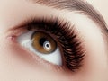 Eye Makeup . Closeup macro shot of fashion eyes visage. Close up of woman eye with beautiful brown with black shades Royalty Free Stock Photo