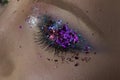 Eye, makeup for party closeup. Eye shadows with purple sequins. Glamorous cosmetics for young women. The face after make Royalty Free Stock Photo