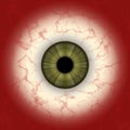 Eye map Royalty Free Stock Photo